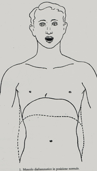 伝統的ベルカントの腹式呼吸